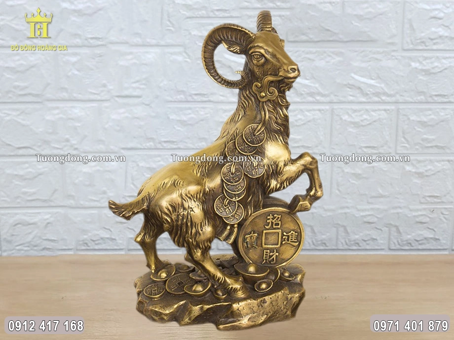 Chân trước của dê đặt trên đồng xu Chiêu Tài Tấn Bảo lớn